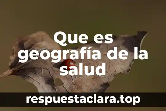 Que es el marco fisico de un proyecto 7 Que es geografía de la salud