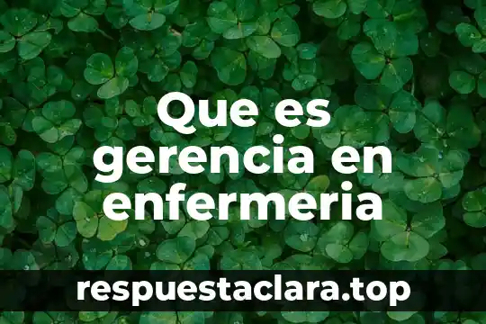 Que es gerencia en enfermeria