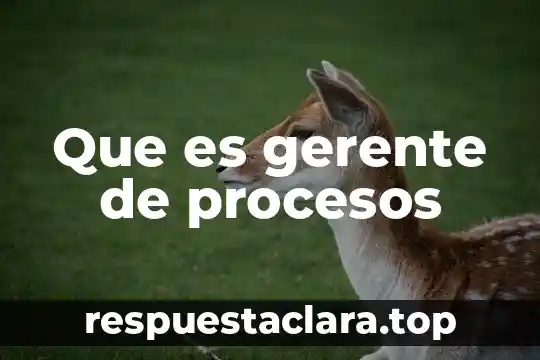 Que es gerente de procesos