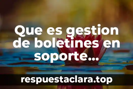 Que es gestion de boletines en soporte tecnico