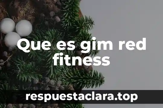 Que es una red de doble estrella 8 Que es gim red fitness