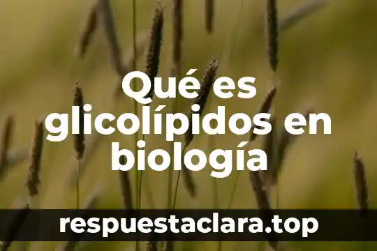 Qué es glicolípidos en biología