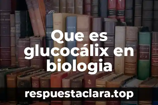 Recesivo que es en biologia 4 Que es glucocálix en biologia