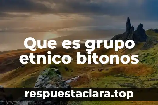 Que es una sociedad comanditaria por acciones simplificadas 8 Que es grupo etnico bitonos