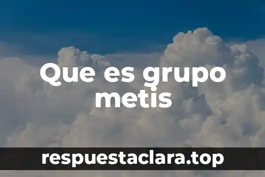 Que es grupo metis
