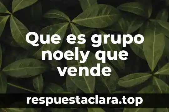 Que es grupo noely que vende