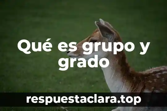 Que es la cultura de sexto grado 5 Qué es grupo y grado