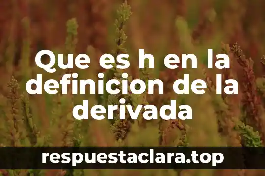 Que es h en la definicion de la derivada