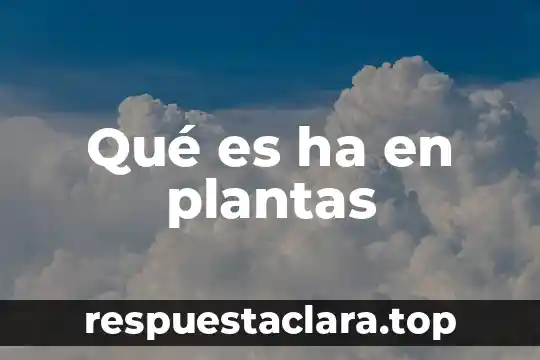 Qué es signo en plantas 4 Qué es ha en plantas
