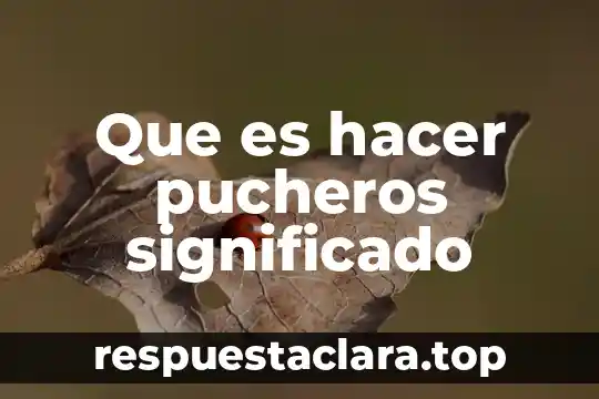 Qué es admon significado 7 Que es hacer pucheros significado