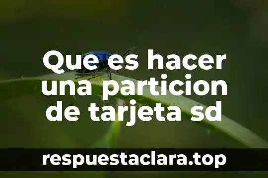 Que es hacer una particion de tarjeta sd