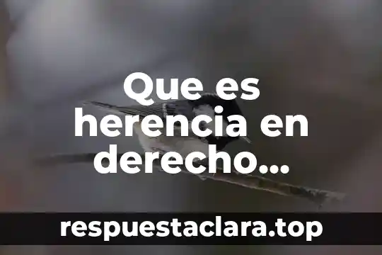 De acuerdo al derecho que es jurisprudencia 4 Que es herencia en derecho sucesorio