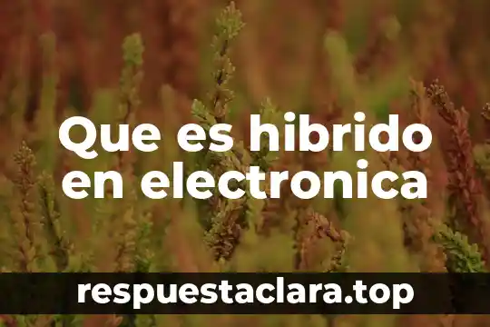 Que es hibrido en electronica