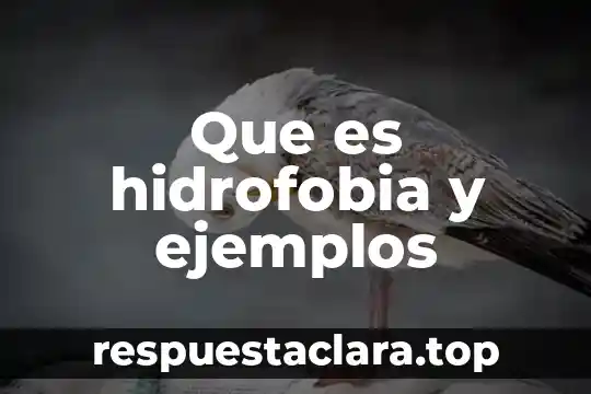 Que es hidrofobia y ejemplos