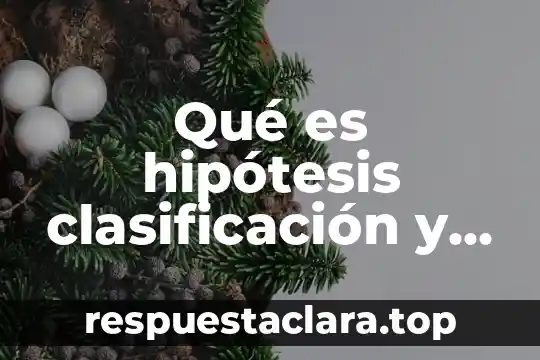 Qué es hipótesis clasificación y ejemplos