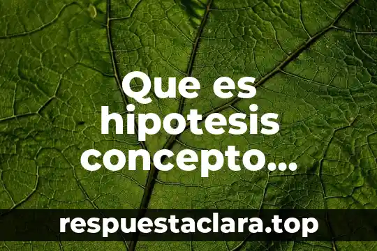Que es un derecho concepto para niños 5 Que es hipotesis concepto definicion y caracteristicas
