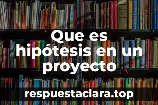 Que es hipótesis en un proyecto