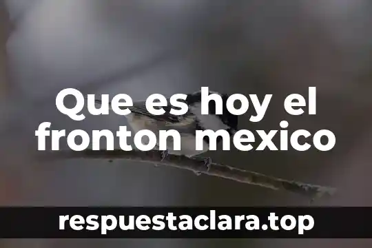 Que es hoy el fronton mexico