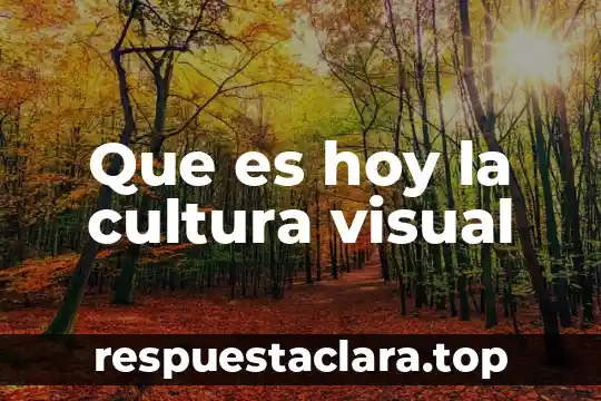 Que es hoy la cultura visual