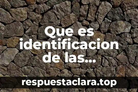 Que es identificacion de las funciones de la sociedad