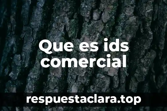 Que es el usuario general de la contabilidad 7 Que es ids comercial