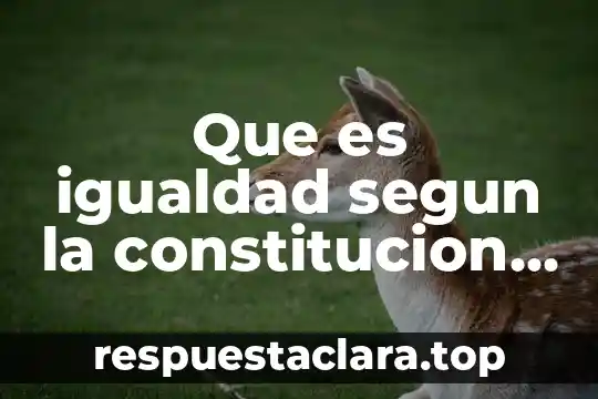 Que es la garantia de igualdad en mexico 7 Que es igualdad segun la constitucion mexicana