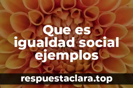 Qué es una célula eucariota animal 4 Que es igualdad social ejemplos