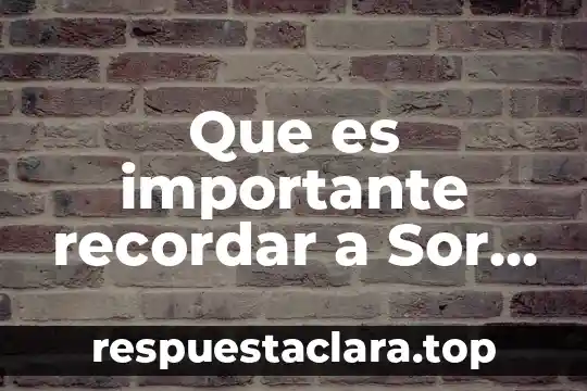 Que es sabe te 4 Que es importante recordar a Sor Juana Inés de la Cruz