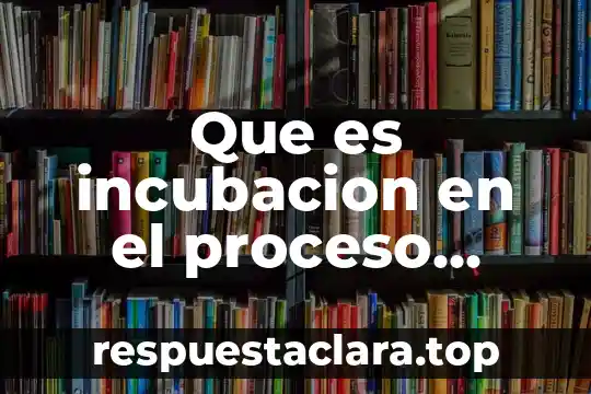 Que es incubacion en el proceso creativo