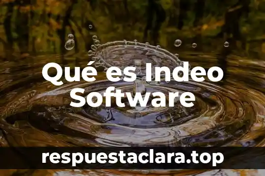 Qué es Indeo Software