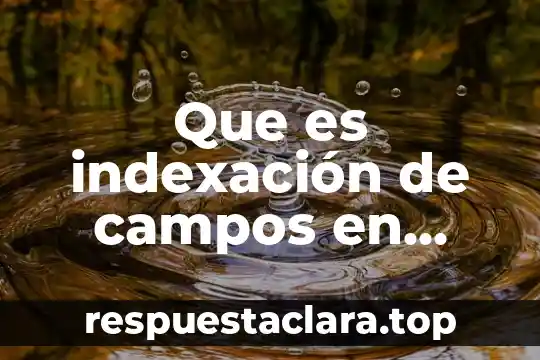 Que es indexación de campos en access