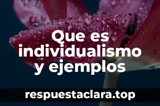 Qué es el signo de interrogación y sus ejemplos 7 Que es individualismo y ejemplos