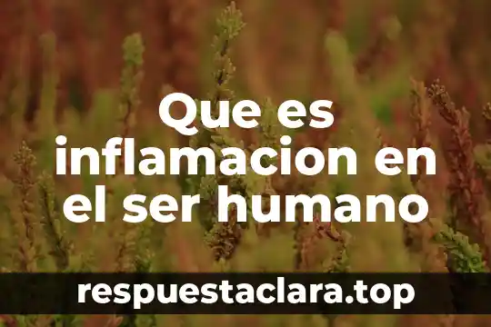 Que es inflamacion en el ser humano