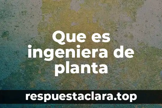 Planta nixtamalizadora que es 7 Que es ingeniera de planta