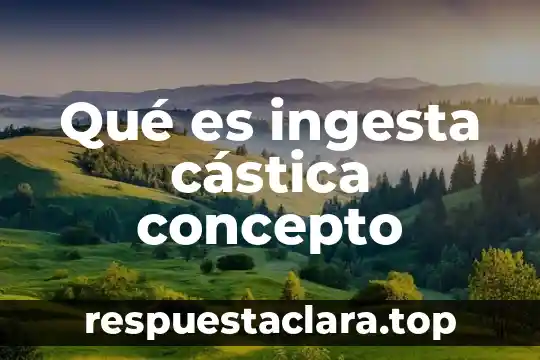 Qué es ingesta cástica concepto