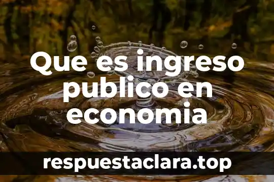 Que es ingreso publico en economia