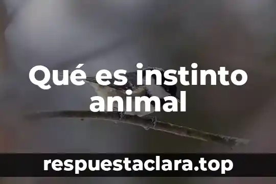 Qué es instinto animal