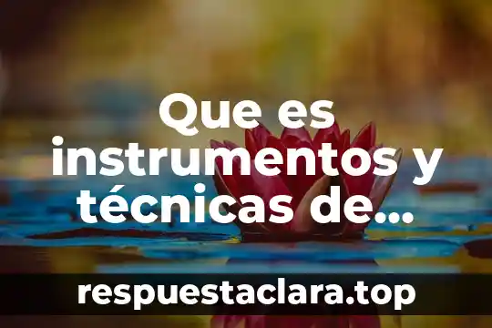 ¿Qué es técnicas e instrumentos cuantitativos? 6 Que es instrumentos y técnicas de evaluación