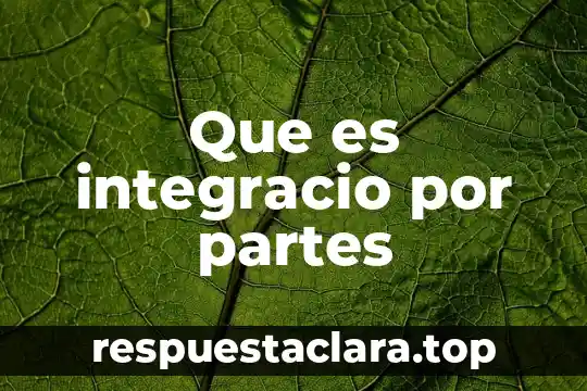 Que es articulo y sus partes 7 Que es integracio por partes