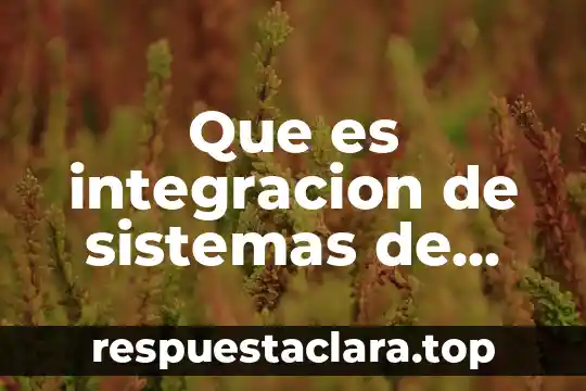 Que es integracion de sistemas de gestion