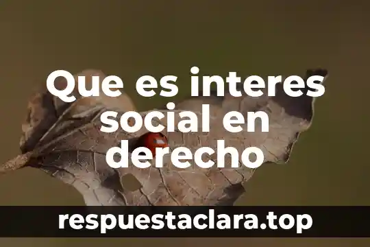 Que es la firma en derecho amparo 6 Que es interes social en derecho