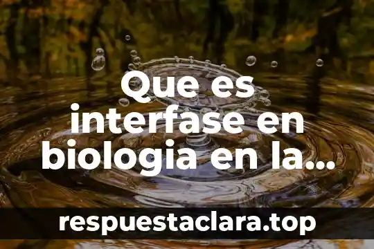 Que es interfase en biologia en la membrana celular
