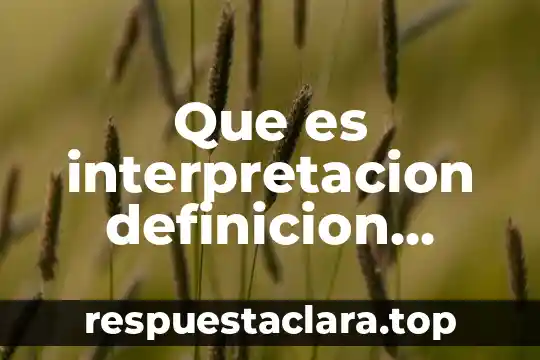 Que es interpretacion definicion varios autores