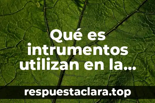 Qué es intrumentos utilizan en la música del palomo