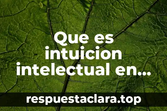 Qué es enter filosofía 7 Que es intuicion intelectual en filosofia