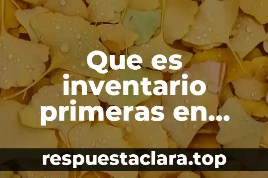 Que es inventario primeras en entradas primeras salidas