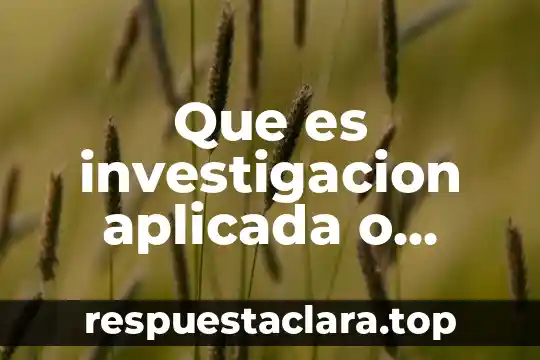 Que es investigacion aplicada o básica