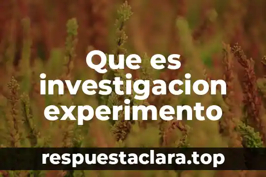 Que es investigacion experimento