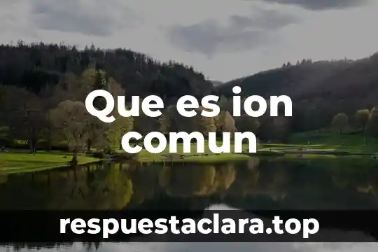 Que es ion comun