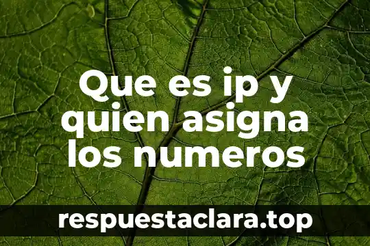 Que es una direccion ip ipv6 ejemplo 8 Que es ip y quien asigna los numeros